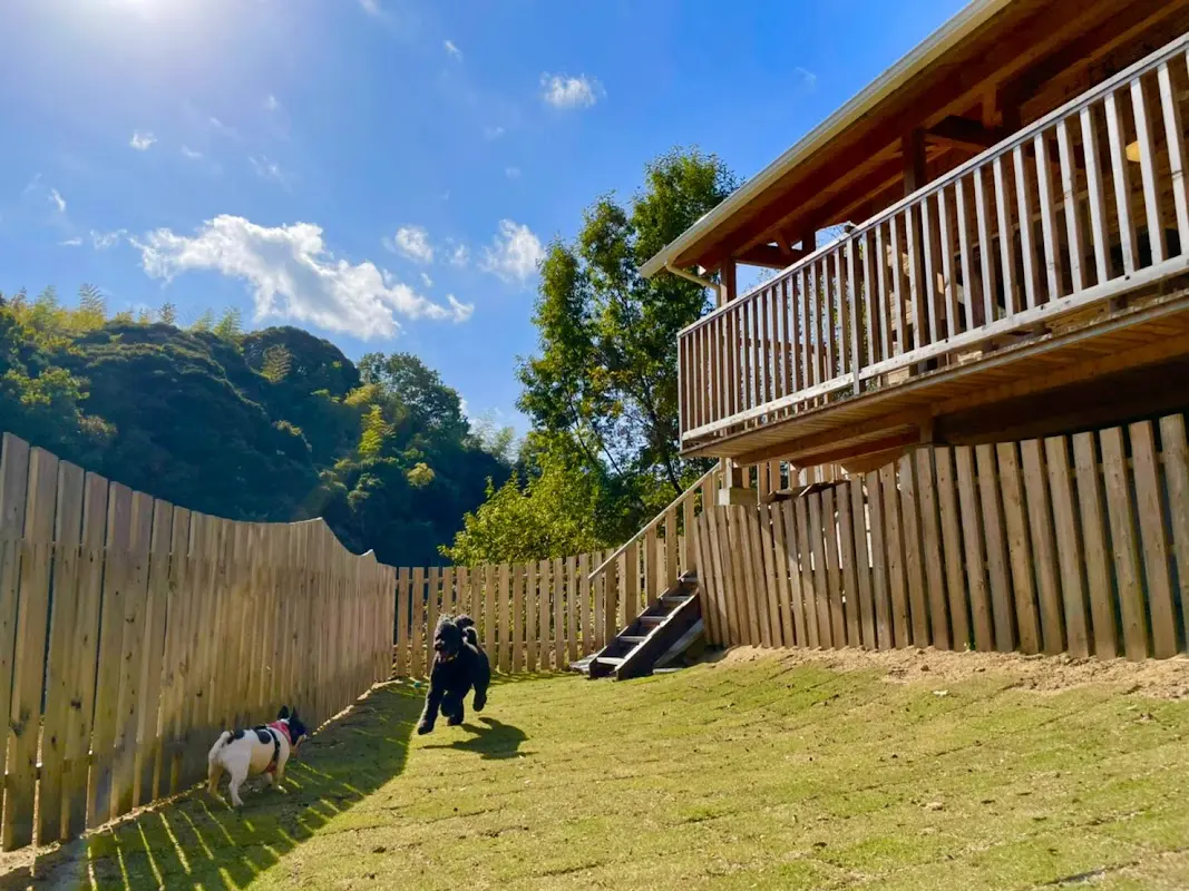 dog park and resort COBA.