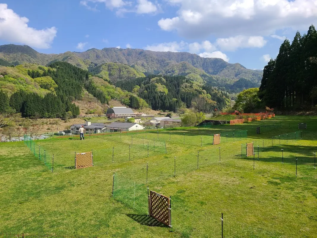 風を感じる宙の森キャンプ場