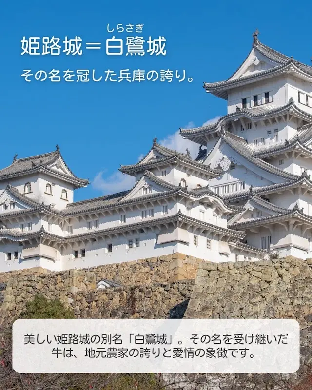 丹波星空グランピング-SHIGURA RESORT