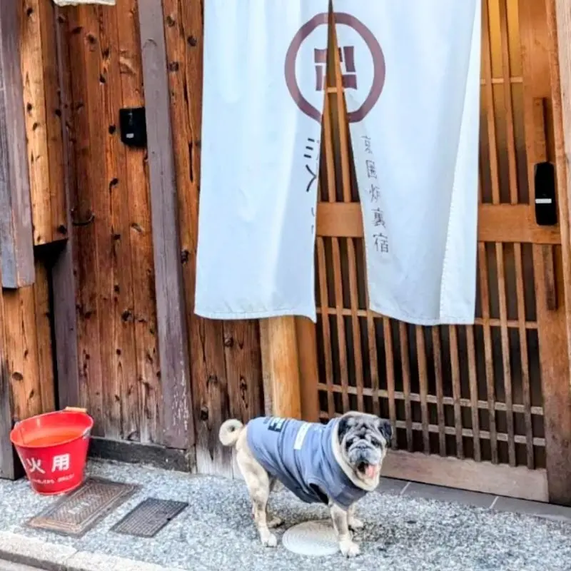 京一軒町家 染 SEN 七条花畑 ドッグフレンドリー ほノ彩