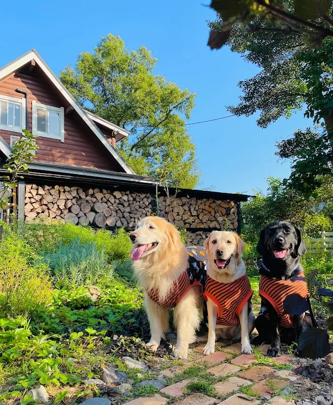 風の音ヴィラ_and_Laughing dogs villa