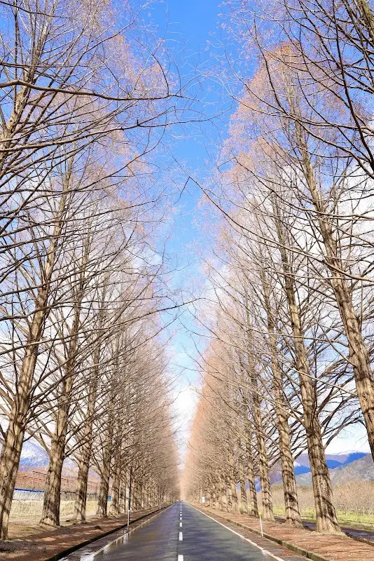 高島市農業公園マキノピックランド