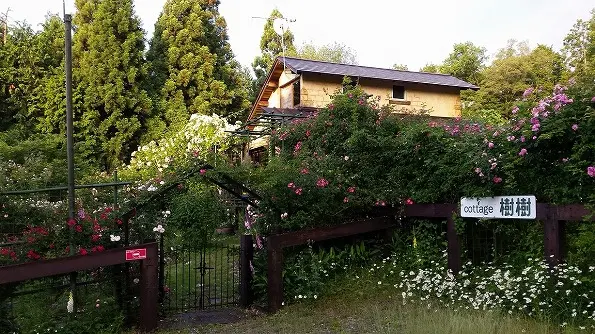 cottage樹樹、コンフィチュール樹樹